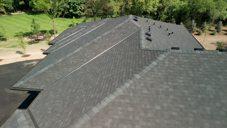 Best Roof Moss and Algae Removal  in Parchment, MI