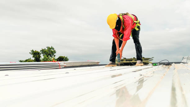 Best Metal Roofing Installation  in Parchment, MI